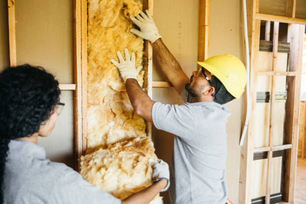 Types of Insulation We Offer in Hanapepe, HI